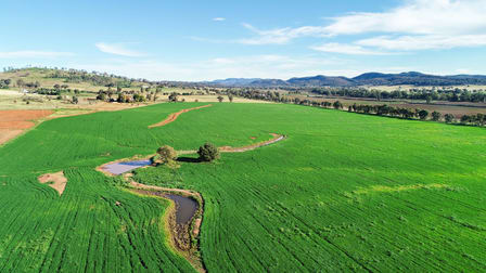 9468 Mitchell Highway Wellington NSW 2820 - Image 2