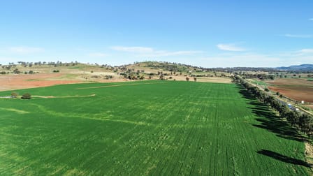 9468 Mitchell Highway Wellington NSW 2820 - Image 3