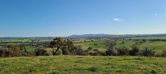 Salt Clay Road Cootamundra NSW 2590 - Image 3