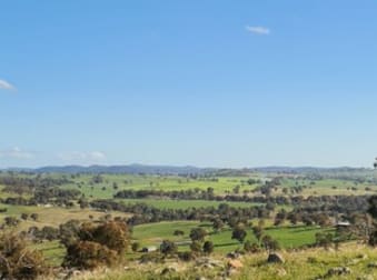 Salt Clay Road Cootamundra NSW 2590 - Image 2