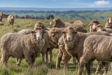 334 PATTERSONS ROAD Springfield VIC 3434 - Image 3