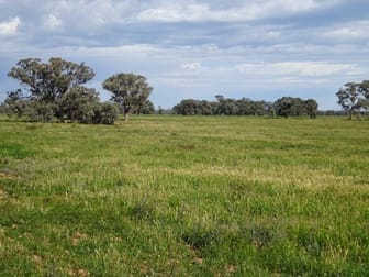 . PERRICOOTA ROAD Barham NSW 2732 - Image 3