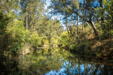 120 Dignams Creek Rd Dignams Creek NSW 2546 - Image 2