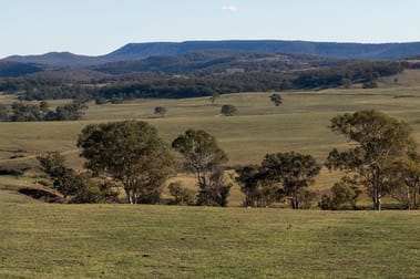 2148 "Greenwich Park" Towrang Road Goulburn NSW 2580 - Image 2