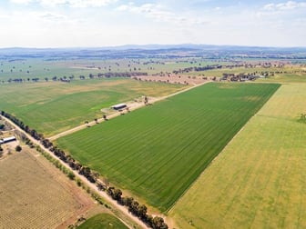 191 Troopers Road Canowindra NSW 2804 - Image 3