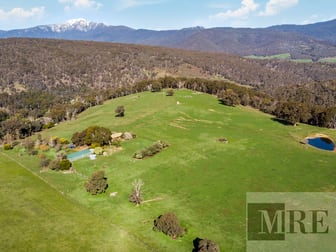 796 Buttercup Road Merrijig VIC 3723 - Image 2