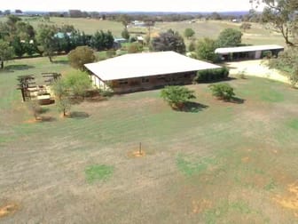 603 Spring Creek Road Young NSW 2594 - Image 1