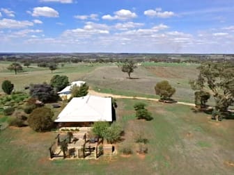 603 Spring Creek Road Young NSW 2594 - Image 2