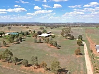 603 Spring Creek Road Young NSW 2594 - Image 3