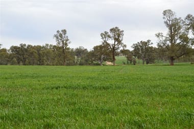 3931 Old Narrandera Road, Currawarna via Wagga Wagga NSW 2650 - Image 2