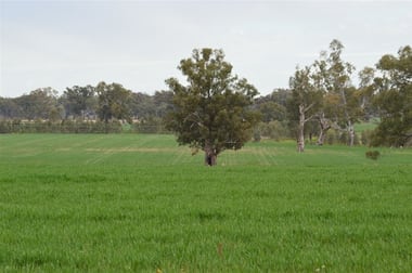 3931 Old Narrandera Road, Currawarna via Wagga Wagga NSW 2650 - Image 3