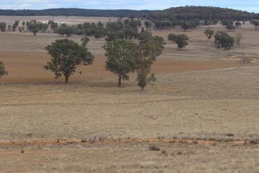 2807 Golden Highway Dunedoo NSW 2844 - Image 1