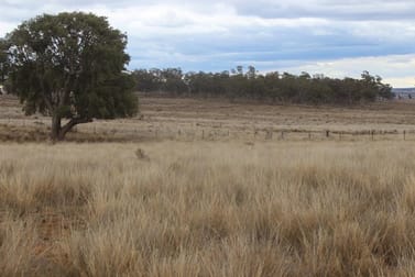 2807 Golden Highway Dunedoo NSW 2844 - Image 3