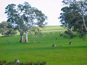 144 Humphries Rd Sandford VIC 3312 - Image 3