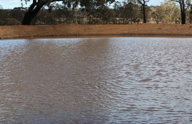 244 Charcoal Tank Road West Wyalong NSW 2671 - Image 3