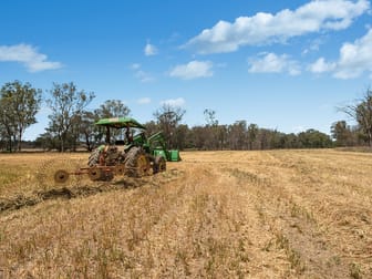 7883 Toowoomba-Karara Road Karara QLD 4352 - Image 3