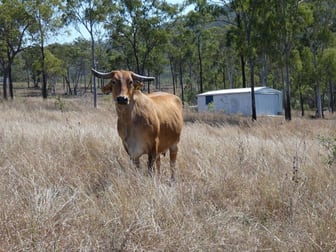 909 Hills Road Mount Maria QLD 4674 - Image 1