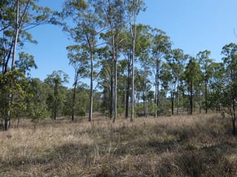 909 Hills Road Mount Maria QLD 4674 - Image 2