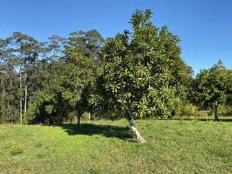 223 Congarinni Road South Congarinni NSW 2447 - Image 2
