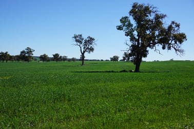 765 & 1009 Coalara Road Badgingarra WA 6521 - Image 3