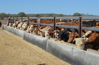 102 Crighton Road Biddeston QLD 4401 - Image 2