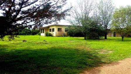 53 Reeves Road Kentucky NSW 2354 - Image 1