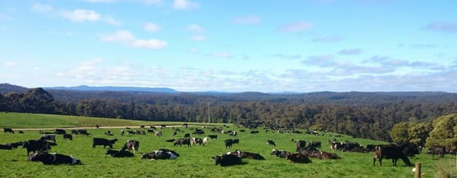 Click to view all images 110 Streets Road South Forest TAS 7330 - Image 1