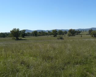 " Box Hill" Bingara NSW 2404 - Image 1