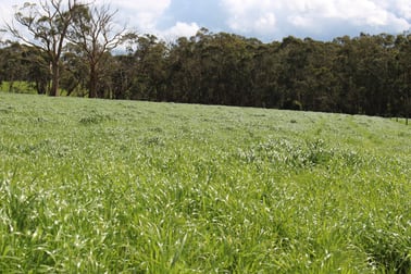 42 Floyds Road Scotts Creek VIC 3267 - Image 1