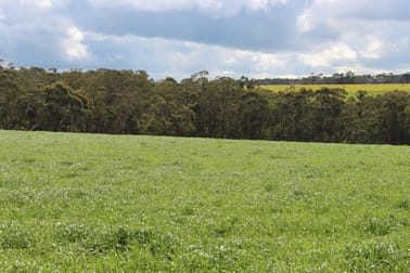 42 Floyds Road Scotts Creek VIC 3267 - Image 3