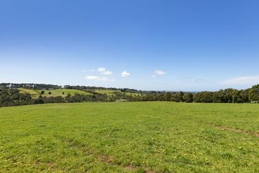 515 Tucks Road Shoreham VIC 3916 - Image 3