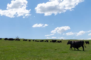 230 Beaconsfield Road Black Springs NSW 2787 - Image 2