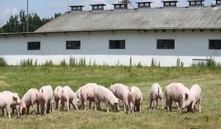 Rural & Farming  business for sale in NSW - Image 1