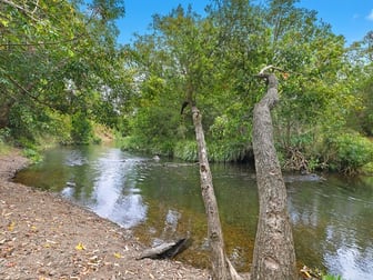 1133-1139 Yabba Creek Road Imbil QLD 4570 - Image 2
