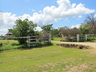 211 Homestead Road Rosenthal Heights QLD 4370 - Image 2