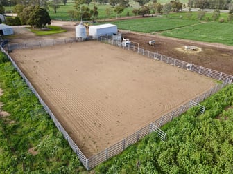 739 Newell Highway Forbes NSW 2871 - Image 3