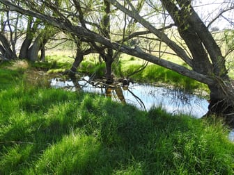 352 Old Trunk Road Arkell NSW 2795 - Image 3