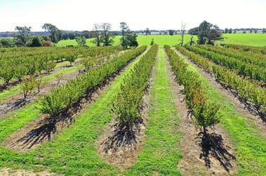 "Koepang", 70 Koepang Road Wallendbeen NSW 2588 - Image 2