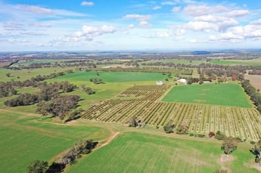 "Koepang", 70 Koepang Road Wallendbeen NSW 2588 - Image 3