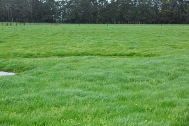 750 Colac-Lavers Hill Road Barongarook West VIC 3249 - Image 3