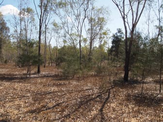 2 Milman Road Milman QLD 4702 - Image 3