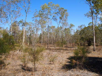 2 Milman Road Milman QLD 4702 - Image 2