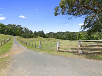 765 Cudgera Creek Road Pottsville NSW 2489 - Image 3
