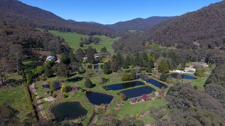 10 Stony Creek Road Harrietville Vic 3741 - Rural Farming For Sale Commercial Real Estate 10 Stony Creek Road Harrietville Vic 3741 - Rural Farming For Sale Commercial Real Estate