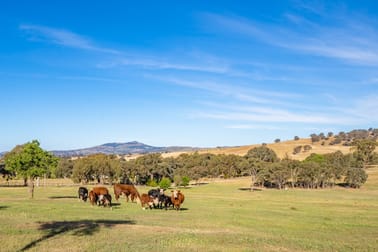 1 Burke Street Lyndhurst NSW 2797 - Image 2