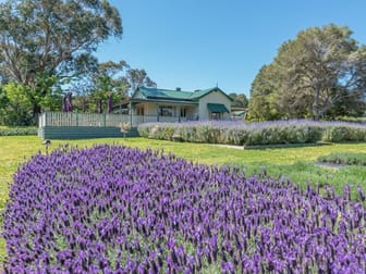 3150 Princes Highway Bunyip VIC 3815 - Image 3