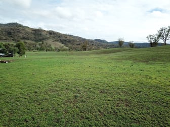 320 Wisemans Arm Road Tamworth NSW 2340 - Image 2