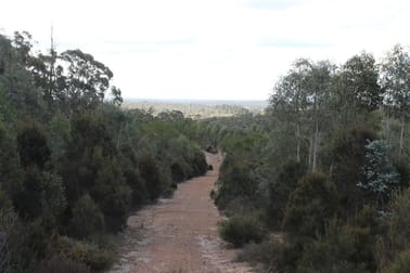 Corner Nerriga and Hobbs Creek Roads Braidwood NSW 2622 - Image 2