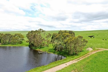 1949 Cobden-Port Campbell Road Newfield VIC 3268 - Image 2