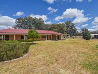 103 Pattersons Lane Young NSW 2594 - Image 1